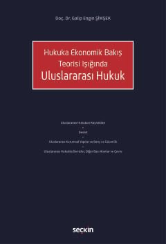 Hukuka Ekonomik Bakış Teorisi Işığında Uluslararası Hukuk kapak görseli