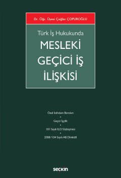 Türk İş Hukukunda Mesleki Geçici İş İlişkisi kapak görseli